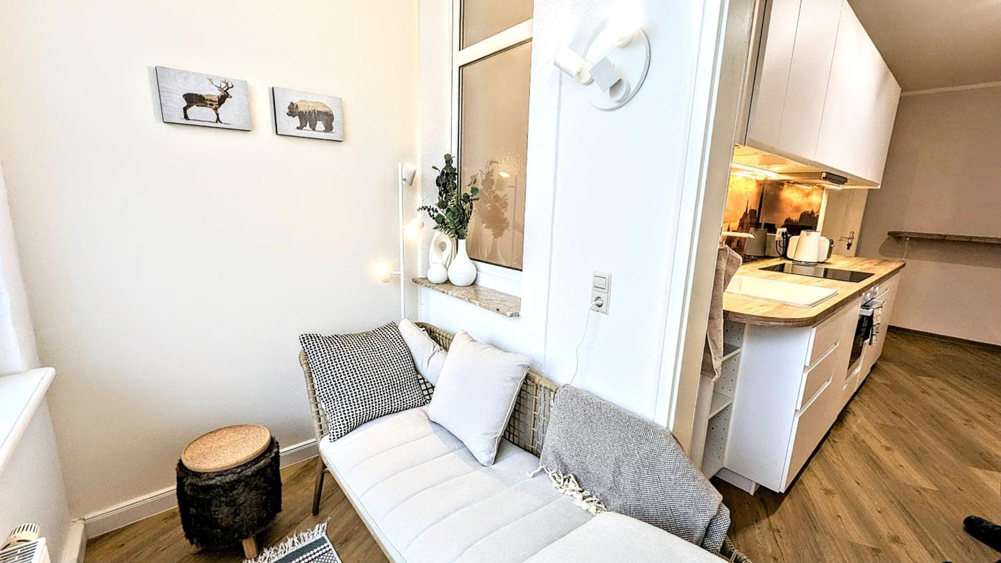 Meissen Apartments - Moderne Ferienwohnungen In Meissen Am Lutherplatz المظهر الخارجي الصورة